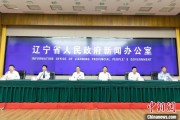 咸宁辽宁平安建设成效显著 2025年聚焦五大重点任务