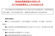 咸宁600387，即将退市，又被证监会立案