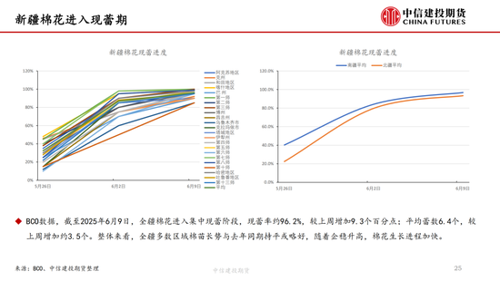【棉花(👿)纺谈】供应端阶段性缩量 疆棉基差坚挺